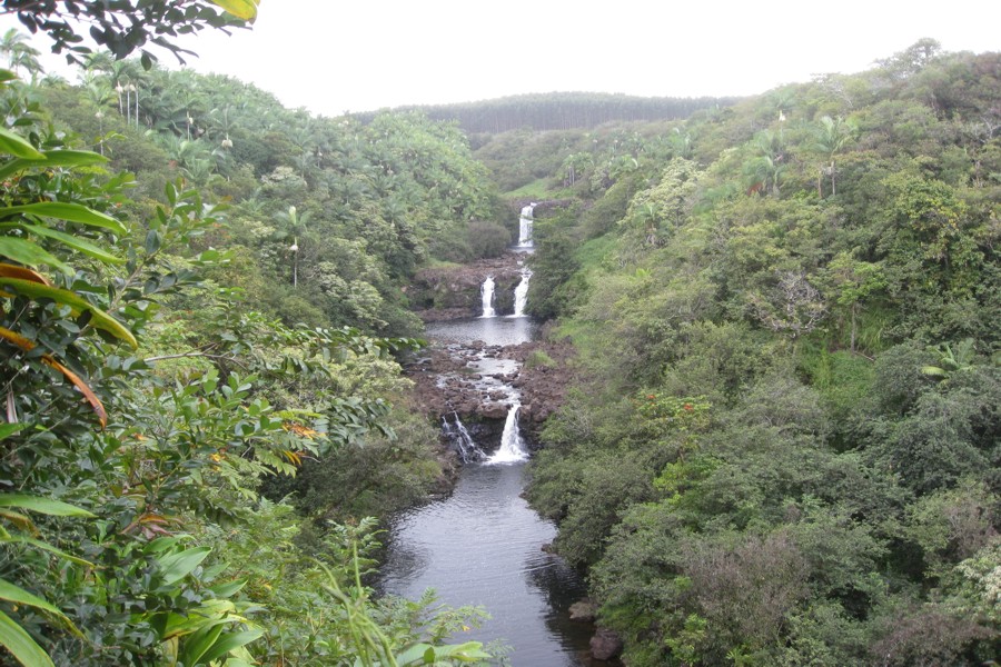 ../image/world botanical gardens - umauma falls 3.jpg